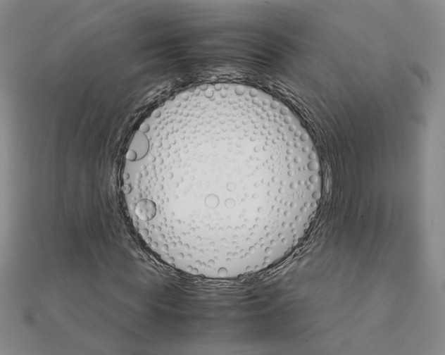 X0000111230819200908131121