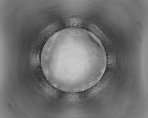 X0000111230820200908131121