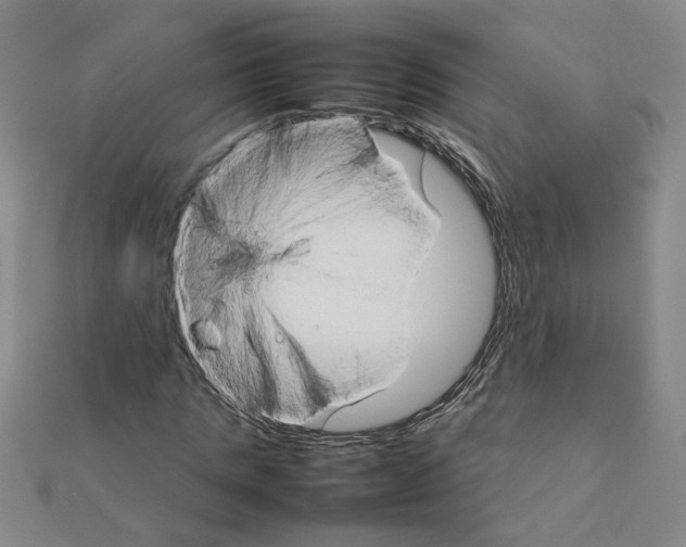 X0000111230821200908131121