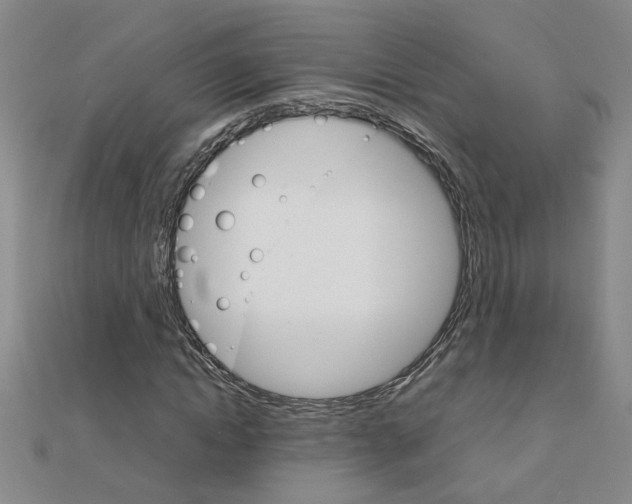 X0000111230822200908131121