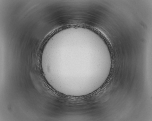 X0000111230823200908131121