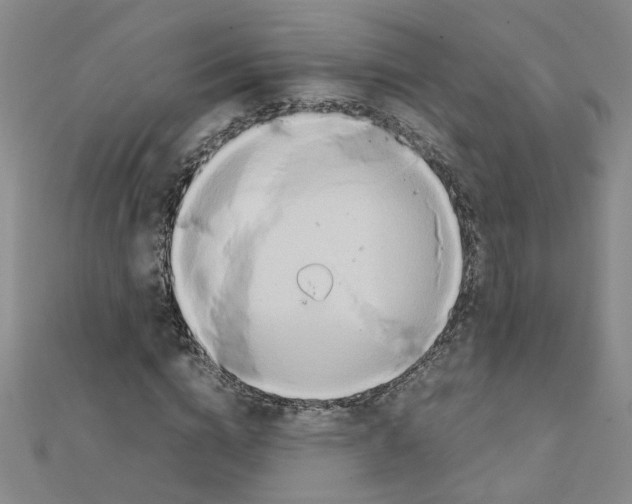 X0000111230824200908131121