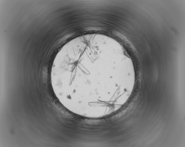 X0000111230825200908131121