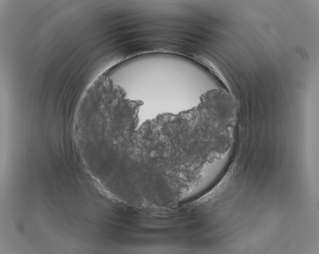 X0000111230827200908131121
