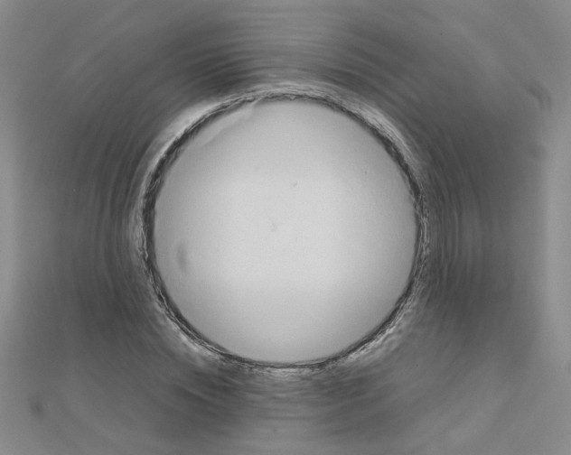 X0000111230828200908131121