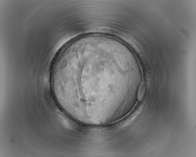 X0000111230830200908131121