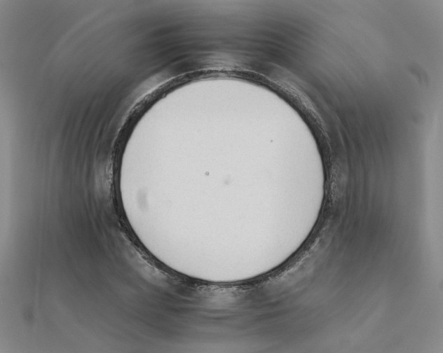 X0000111230831200908131121