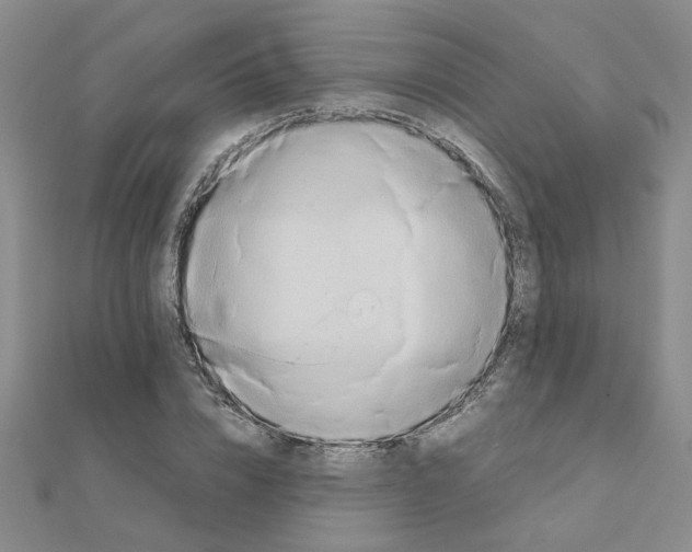 X0000111230832200908131121