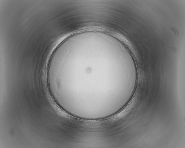 X0000111230836200908131121