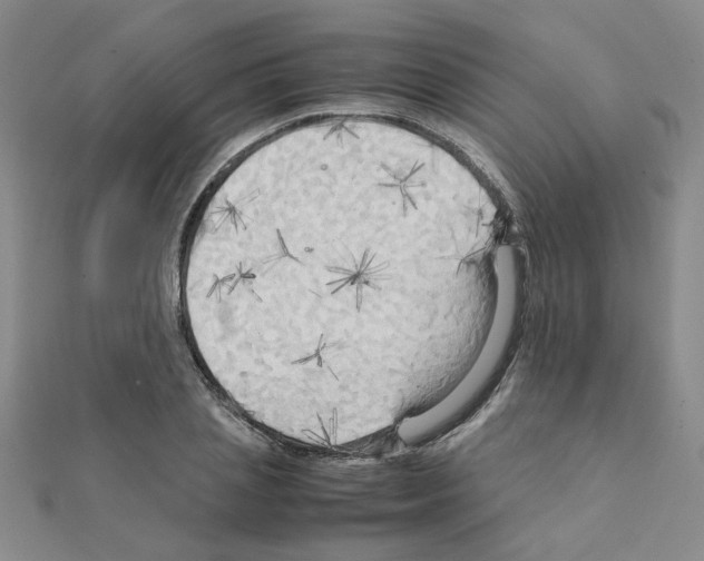 X0000111230837200908131121