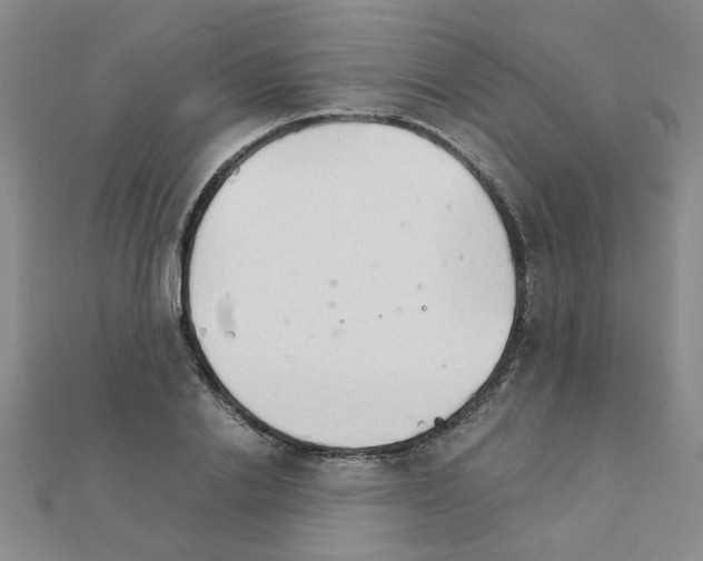 X0000111230838200908131121