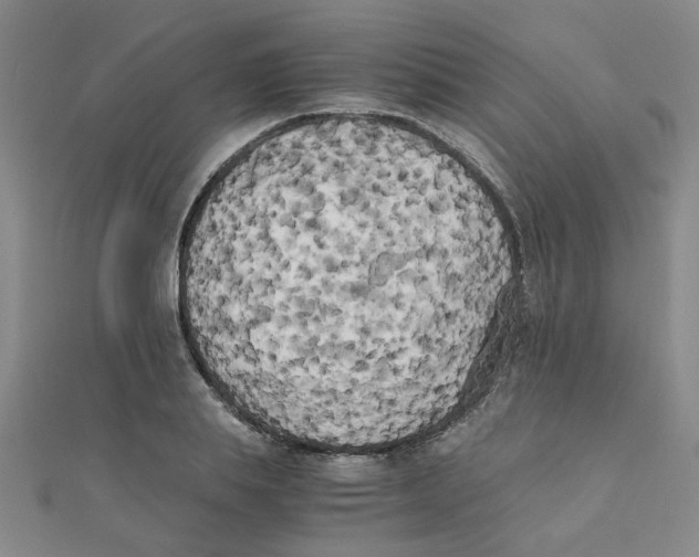 X0000111230839200908131121