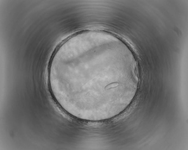 X0000111230840200908131121