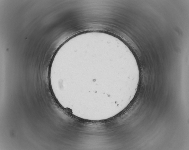 X0000111230842200908131121