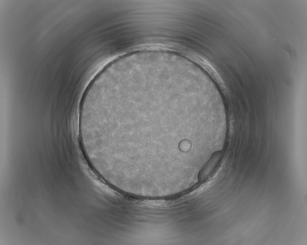 X0000111230844200908131121