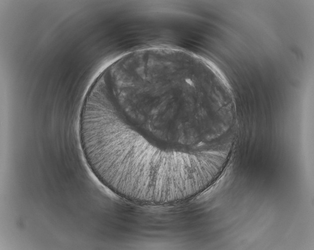 X0000111230847200908131121