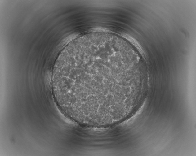 X0000111230849200908131121