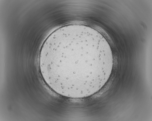 X0000111230852200908131121