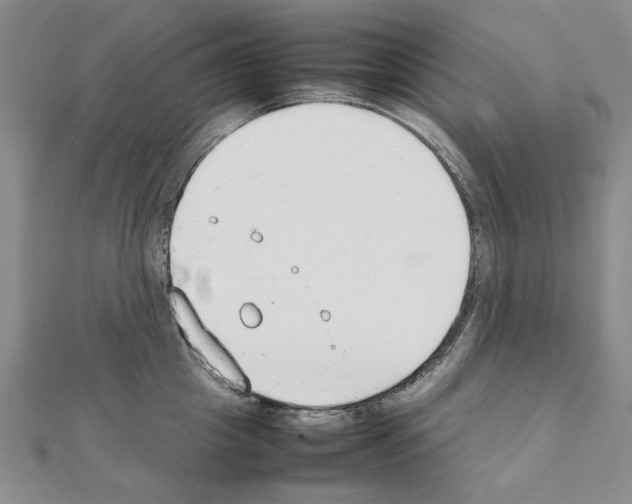 X0000111230857200908131121