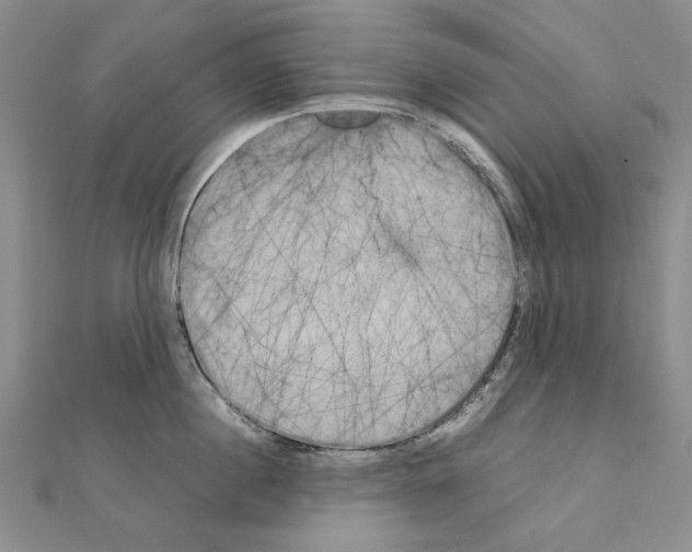 X0000111230860200908131121