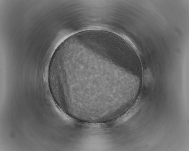 X0000111230862200908131121