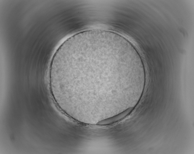 X0000111230864200908131121