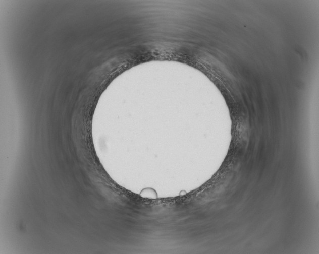 X0000111230865200908131121
