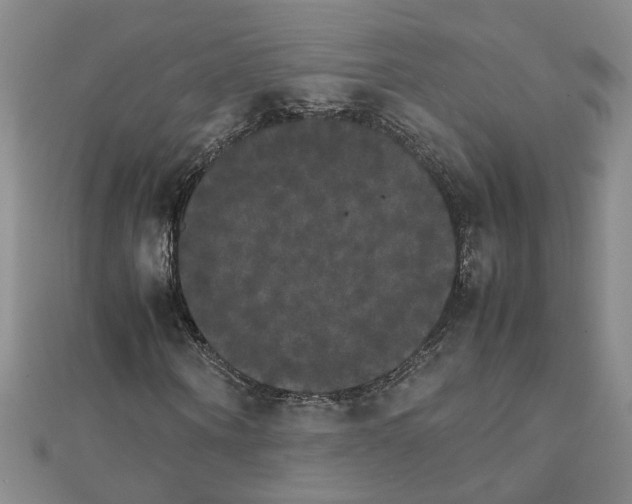 X0000111230866200908131121