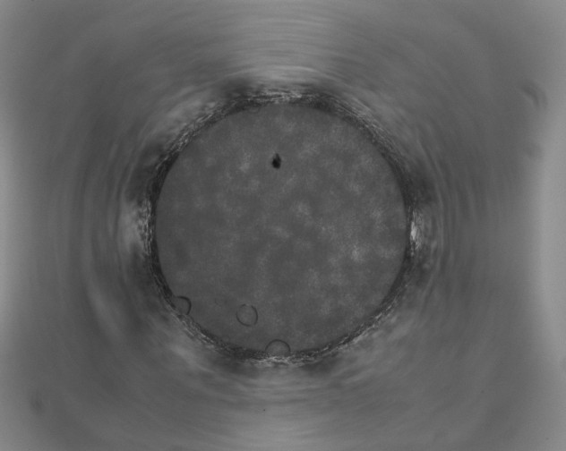 X0000111230867200908131121