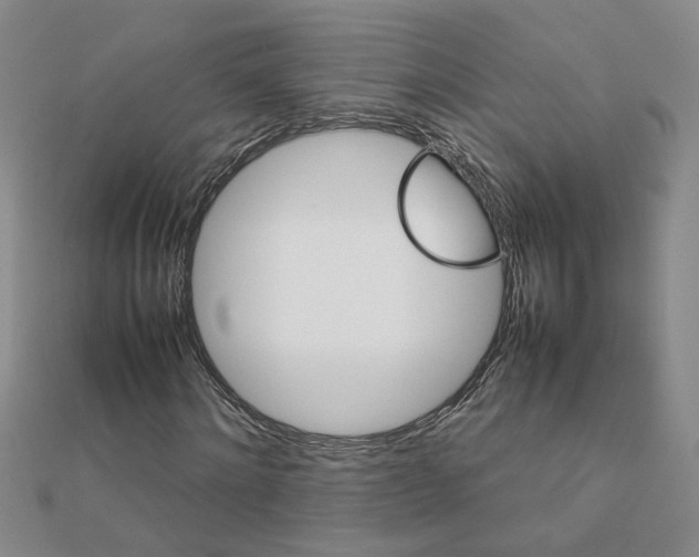 X0000111230868200908131121