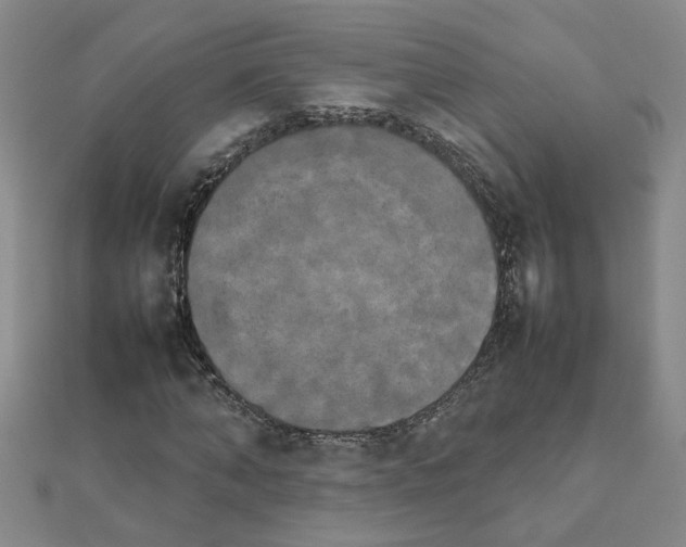 X0000111230870200908131120