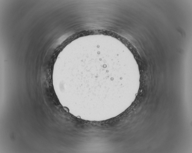 X0000111230871200908131120