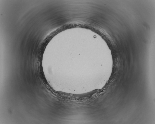 X0000111230872200908131120