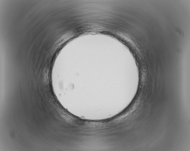 X0000111230873200908131120