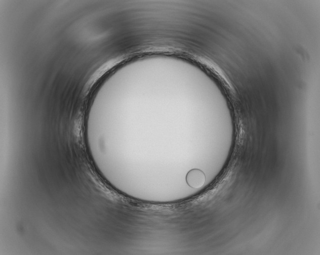 X0000111230874200908131120