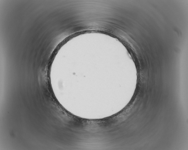 X0000111230875200908131120