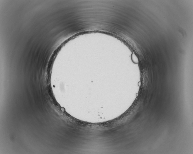 X0000111230876200908131120