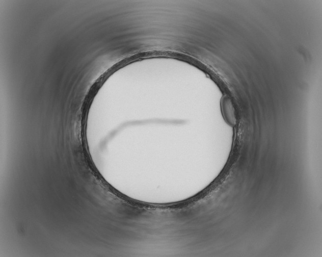 X0000111230877200908131120