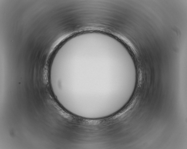 X0000111230878200908131120