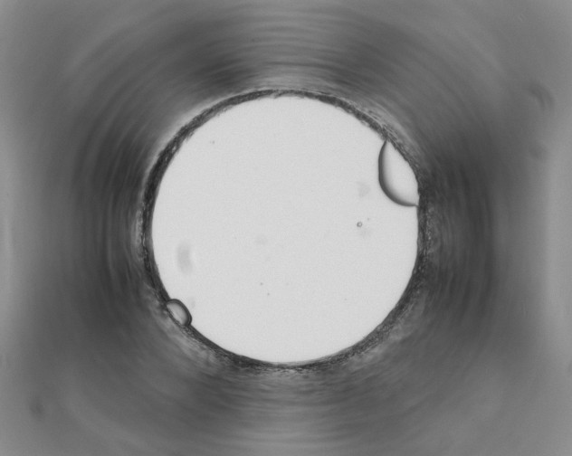 X0000111230880200908131120