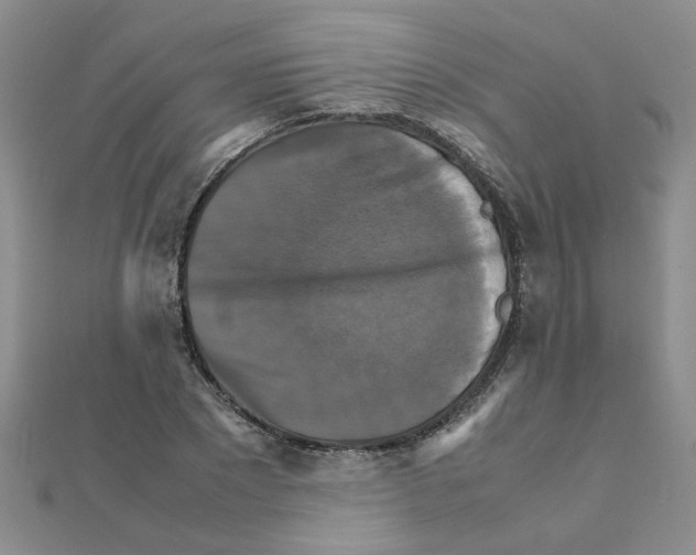 X0000111230881200908131120