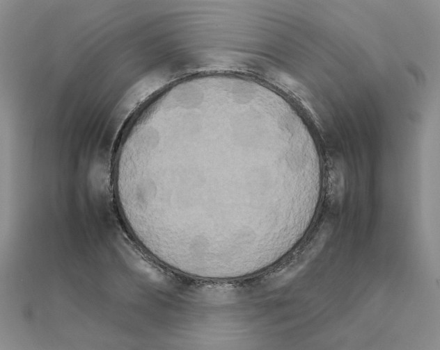 X0000111230882200908131120