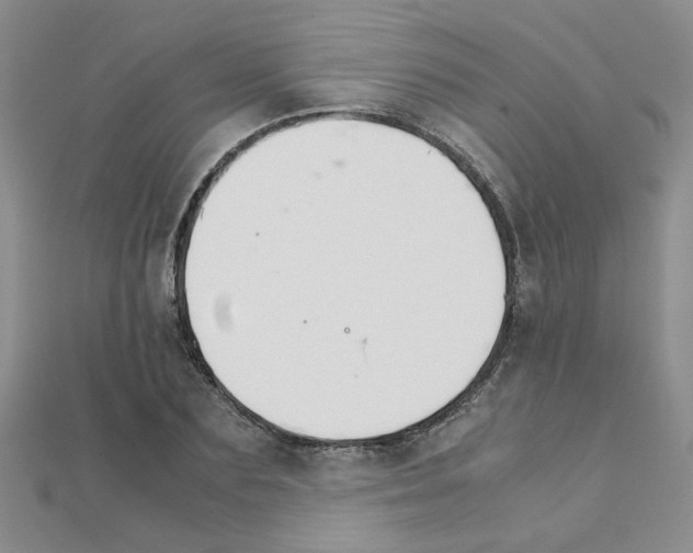 X0000111230883200908131120