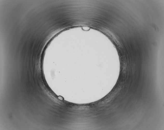 X0000111230884200908131120