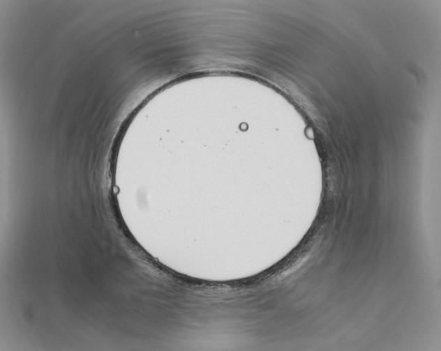 X0000111230885200908131120