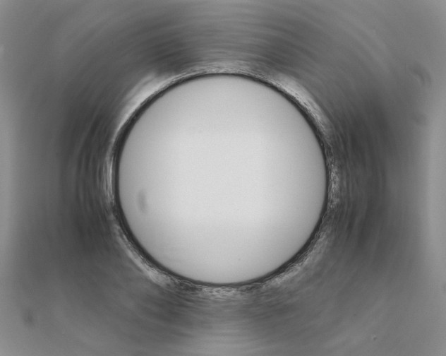 X0000111230886200908131120