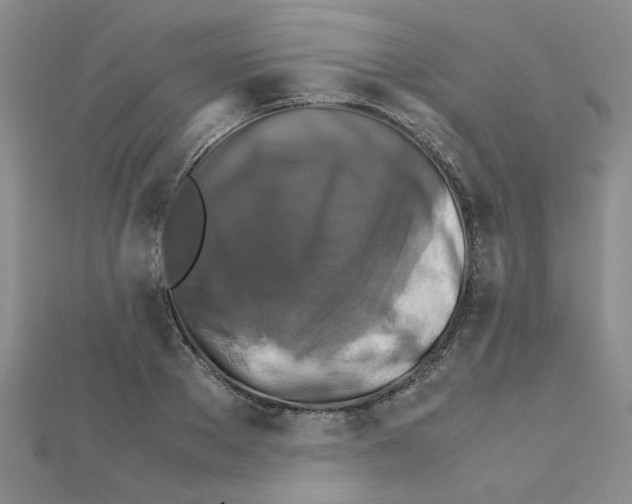 X0000111230889200908131120