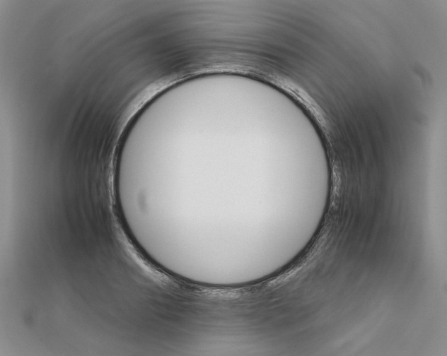 X0000111230890200908131120