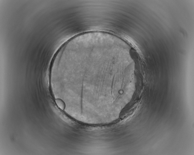 X0000111230892200908131120