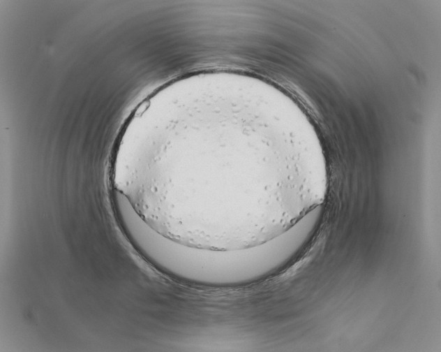 X0000111230893200908131120